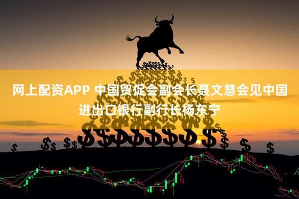 网上配资APP 中国贸促会副会长聂文慧会见中国进出口银行副行长杨东宁